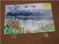 746a91c6-Picture 013.jpg